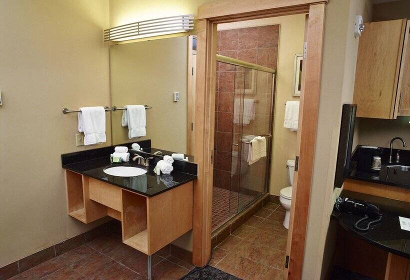 이그제큐티브 룸, Livinn Hotel Minneapolis North / Fridley