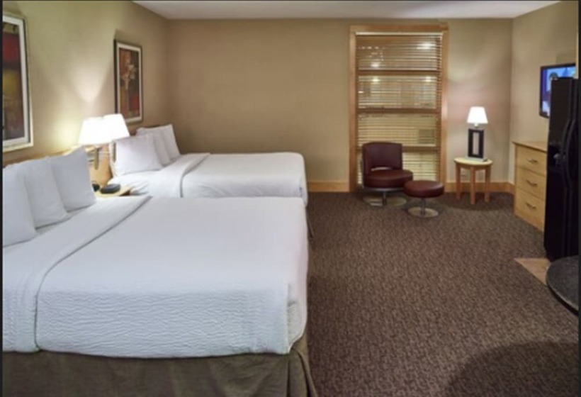 이그제큐티브 룸, Livinn Hotel Minneapolis North / Fridley