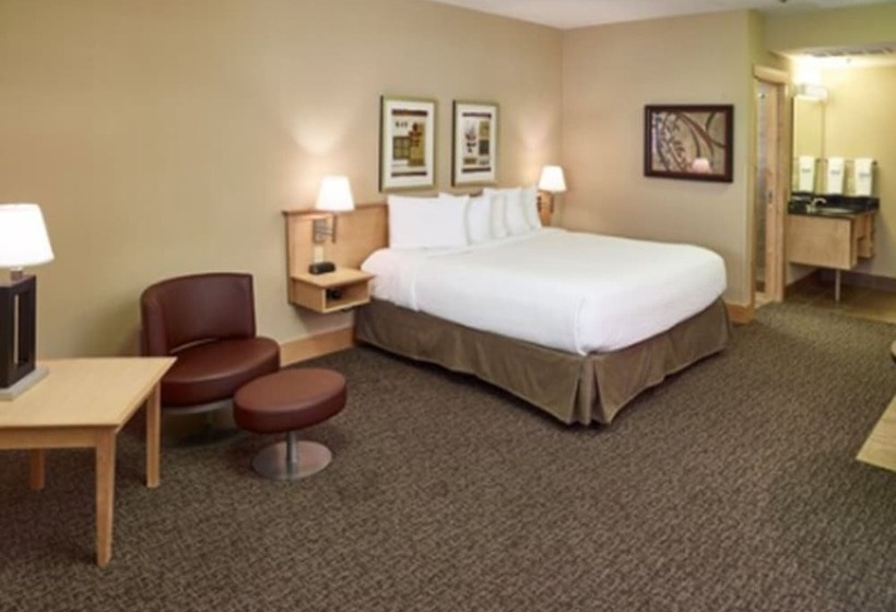 이그제큐티브 룸, Livinn Hotel Minneapolis North / Fridley