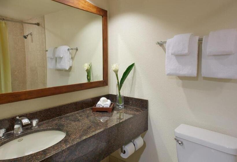 סטודיו סטנדרט עם נוף, Luana Waikiki Hotel & Suites