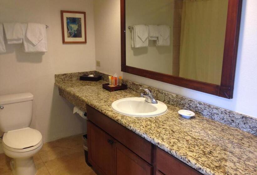 חדר סטנדרט צדדי נוף לים, Luana Waikiki Hotel & Suites