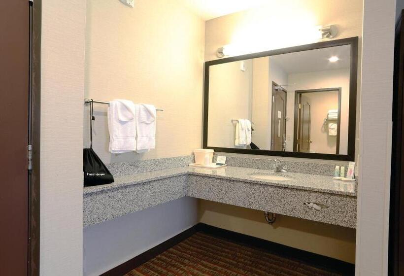 חדר סופריור מותאם לאדם עם מוגבלויות, Quality Inn Near Rocky Mountain National Park