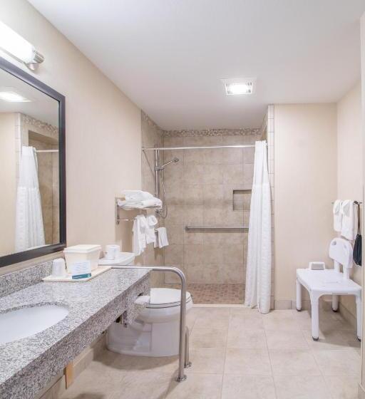 חדר סופריור מותאם לאדם עם מוגבלויות, Quality Inn Near Rocky Mountain National Park