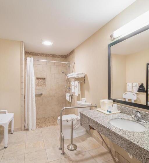 חדר סטנדרט מותאם לאדם עם מוגבלויות, Quality Inn Near Rocky Mountain National Park