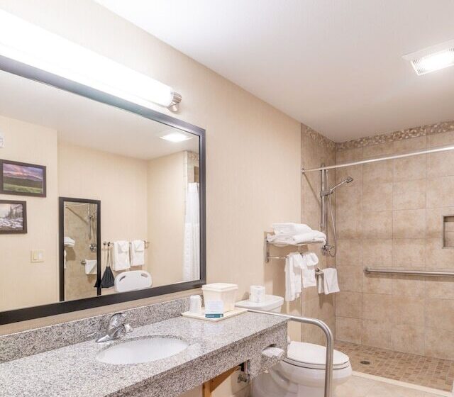 חדר סטנדרט מותאם לאדם עם מוגבלויות, Quality Inn Near Rocky Mountain National Park