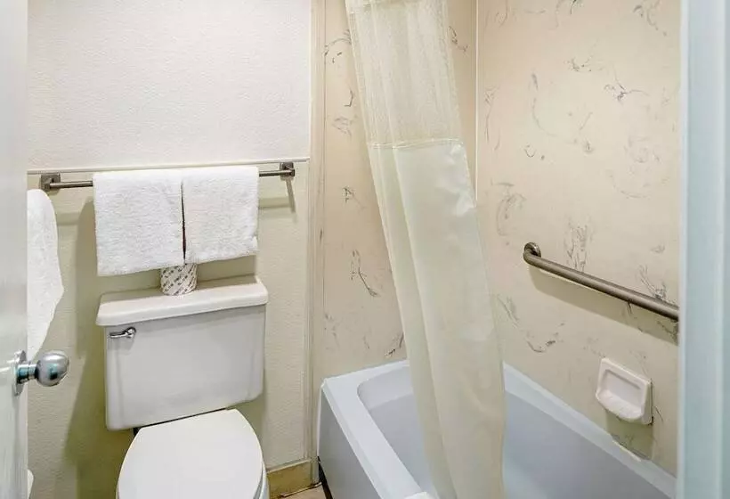 اتاق استاندارد با 2 تخت دوبل, Rodeway Inn At Nevada State Capitol