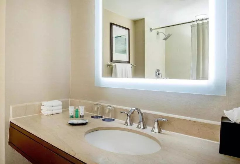 اتاق کلاسیک با تخت دونفره, The Westin Waltham Boston