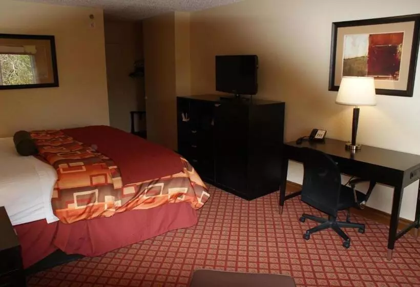 اتاق استاندارد با تخت بزرگ, Wyndham Garden Stillwater