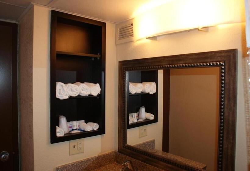 غرفة قياسية سرير كينج لذوى الإحتياجات الخاصة, Wyndham Garden Stillwater