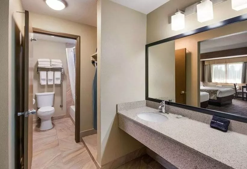 اتاق استاندارد با 2 تخت دوبل, Best Western Weston Inn