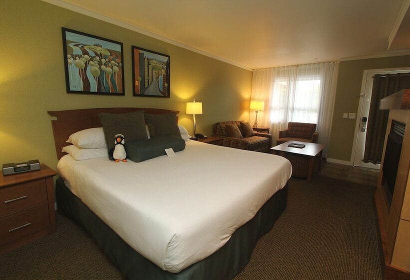 إستوديو قياسى سرير كينج, Surfsand Resort