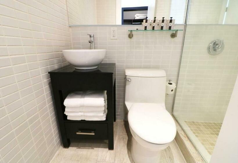 غرفه قياسيه سريرين مزدوجين, Catalina Hotel & Beach Club