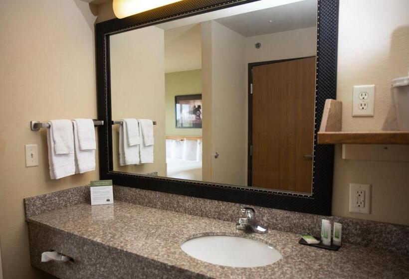 带大床的套房, Americinn By Wyndham Pampa  Event Center