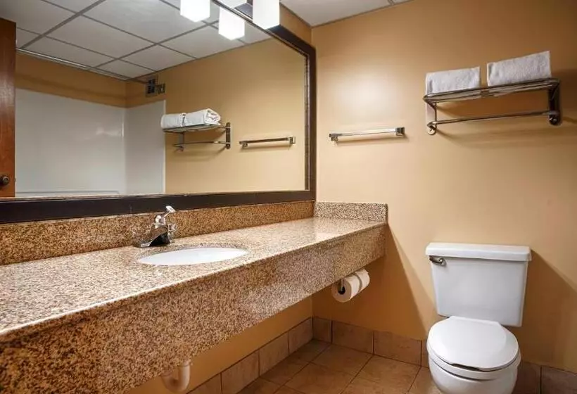 身障者適用キングサイズベッドルーム, Best Western Plus Goldsboro