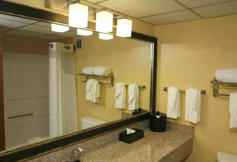 身障者適用キングサイズベッドルーム, Best Western Plus Goldsboro