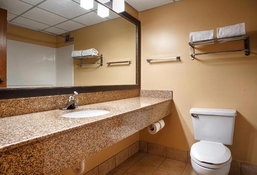 غرفة قياسية لذوى الاحتياجات الخاصة, Best Western Plus Goldsboro