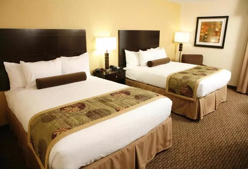 身障者適用スタンダードルーム, Best Western Plus Goldsboro