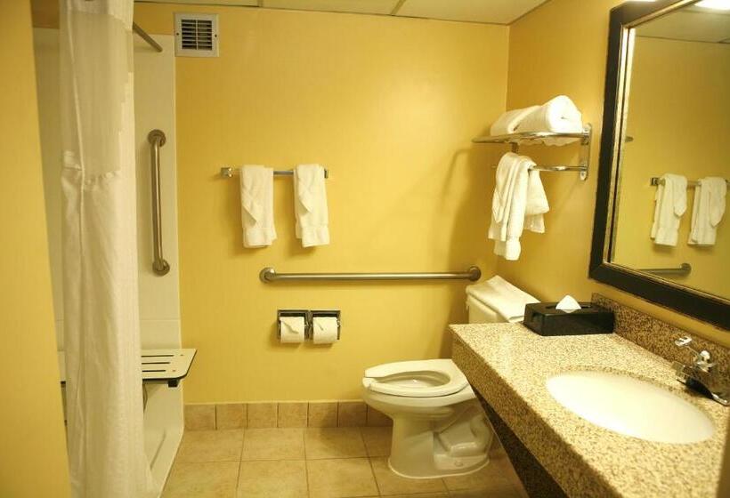 غرفة قياسية, Best Western Plus Goldsboro