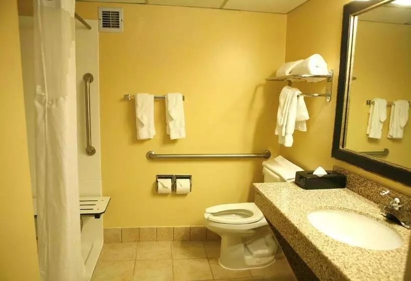 スタンダードルーム, Best Western Plus Goldsboro