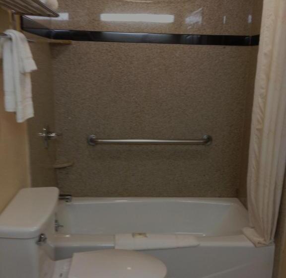 Люкс Кровать Кинг, Comfort Inn & Suites San Francisco Airport North