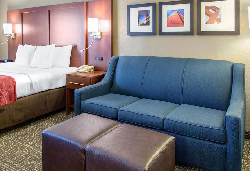 Люкс Адаптированный для Инвалидов, Comfort Inn & Suites San Francisco Airport North