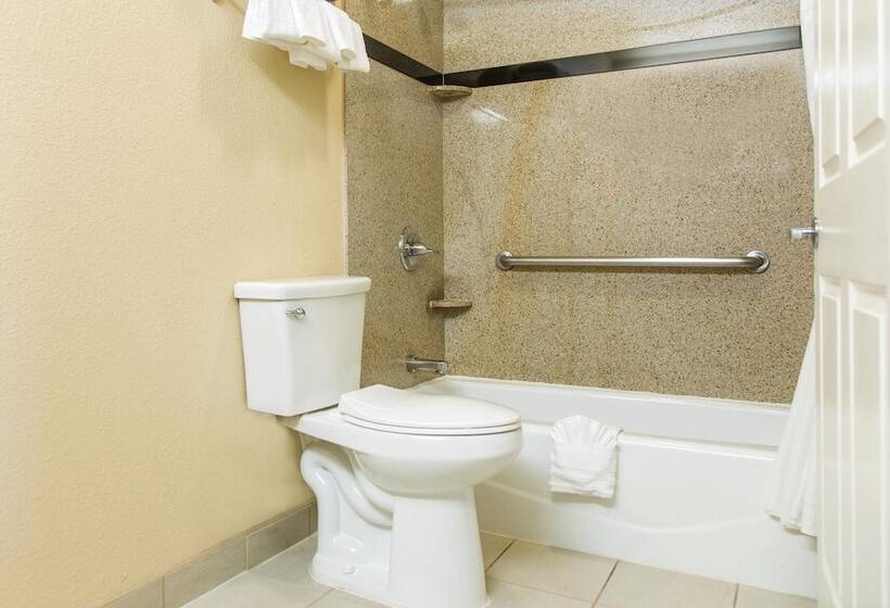 Люкс Адаптированный для Инвалидов, Comfort Inn & Suites San Francisco Airport North