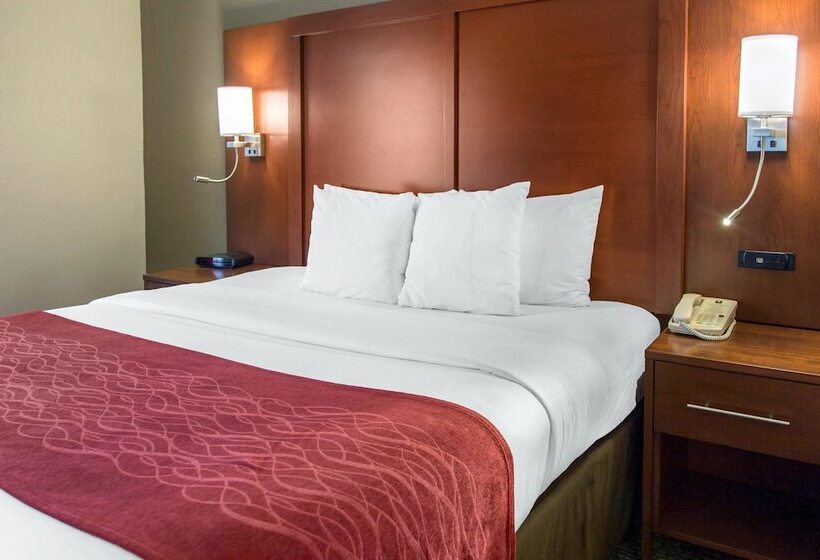 סוויטה מותאמת לאדם עם מוגבלויות, Comfort Inn & Suites San Francisco Airport North