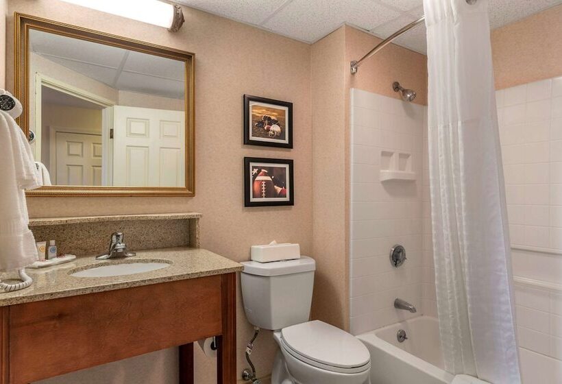 غرفه قياسيه سريرين مزدوجين, Comfort Inn Foxboro – Mansfield