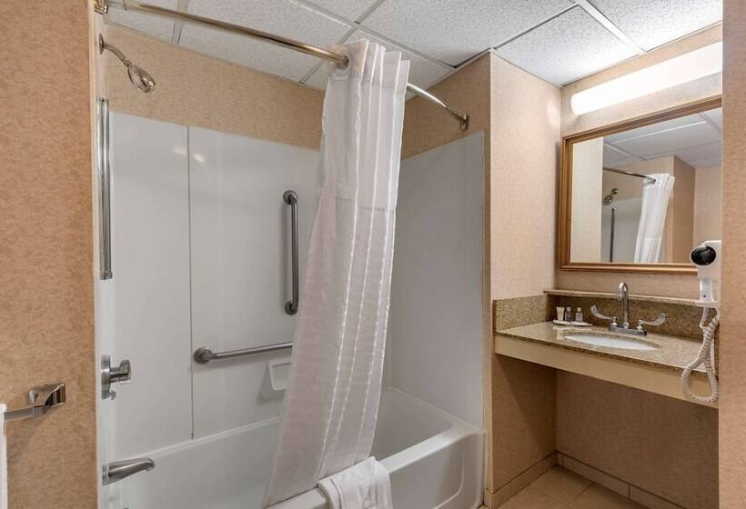 غرفة قياسية سرير كينج لذوى الإحتياجات الخاصة, Comfort Inn Foxboro – Mansfield