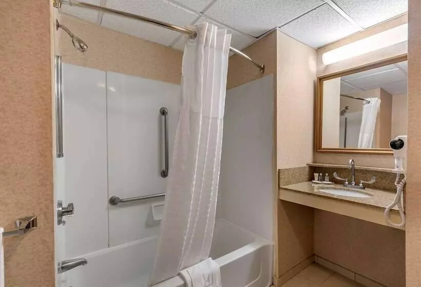 اتاق استاندارد با تخت بزرگ برای معلولان, Comfort Inn Foxboro – Mansfield