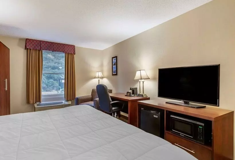 اتاق استاندارد با تخت بزرگ برای معلولان, Comfort Inn Foxboro – Mansfield