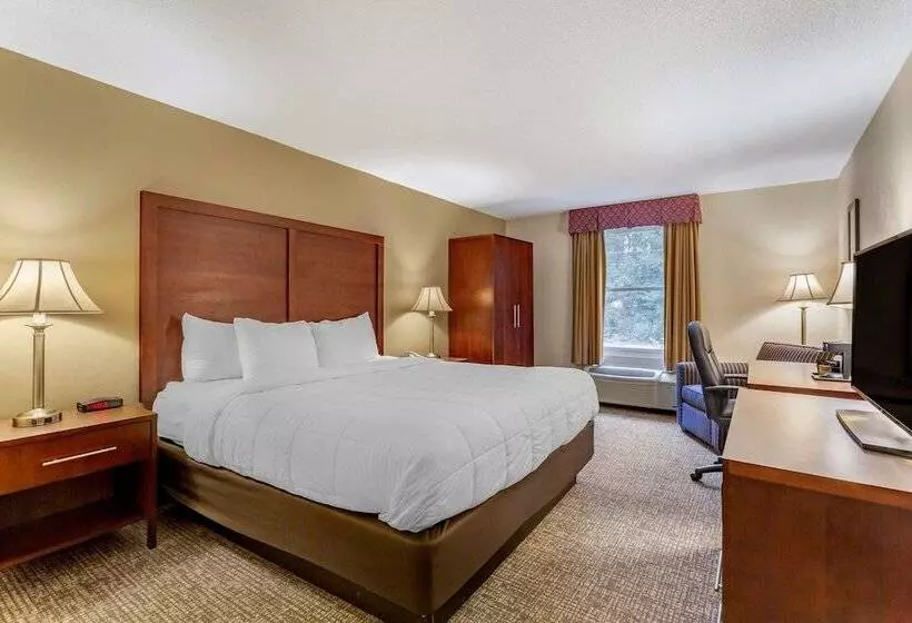 اتاق استاندارد با تخت بزرگ برای معلولان, Comfort Inn Foxboro – Mansfield