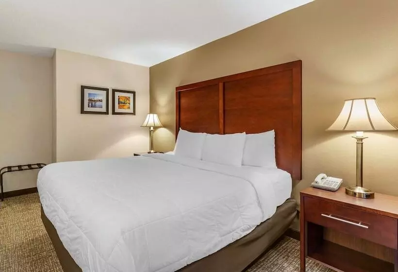 اتاق استاندارد با تخت بزرگ برای معلولان, Comfort Inn Foxboro – Mansfield