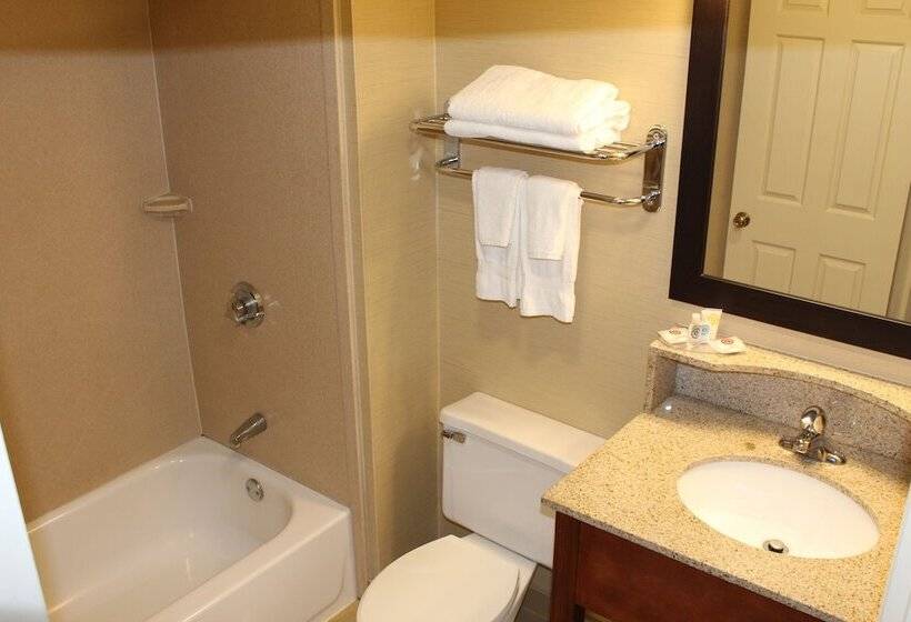 غرفه قياسيه سريرين مزدوجين, Comfort Inn Rockland  Boston