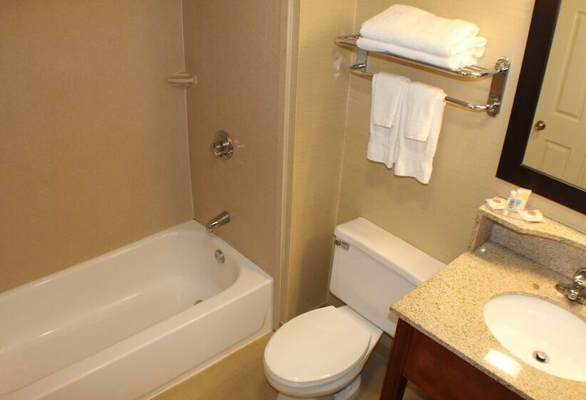 غرفه قياسيه سريرين مزدوجين, Comfort Inn Rockland  Boston
