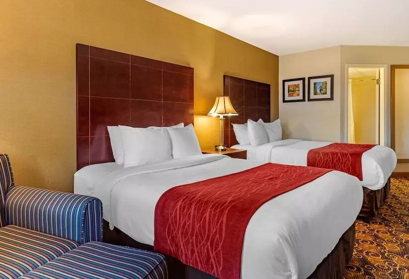 ２ダブルベッドのスタンダードルーム, Comfort Inn Rockland  Boston