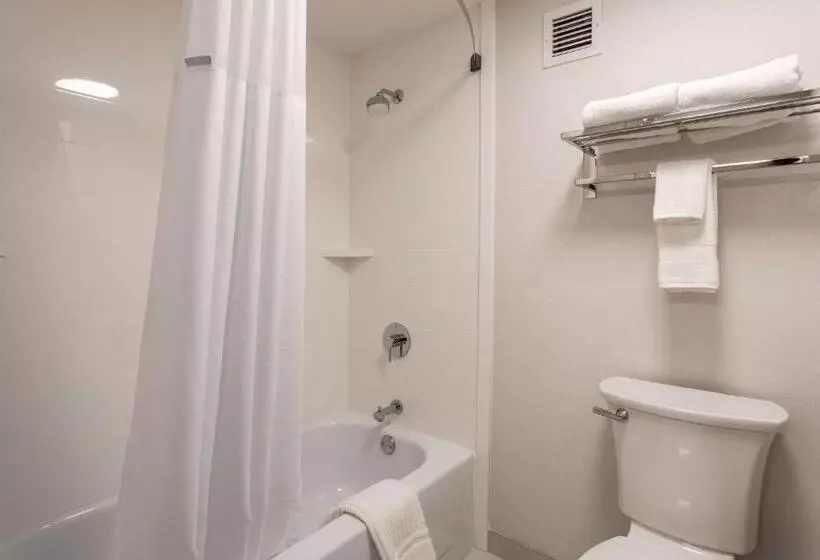 سوئیت جونیور با تخت بزرگ, Comfort Inn & Suites Buffalo Airport