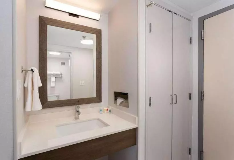 اتاق استاندارد برای معلولان, Comfort Inn & Suites Buffalo Airport