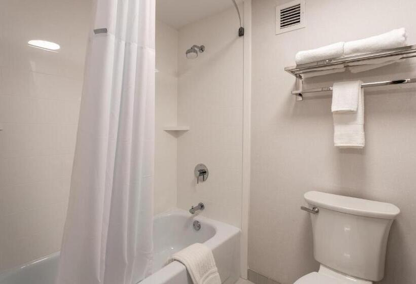 Номер Стандарт Адаптированный для Инвалидов, Comfort Inn & Suites Buffalo Airport
