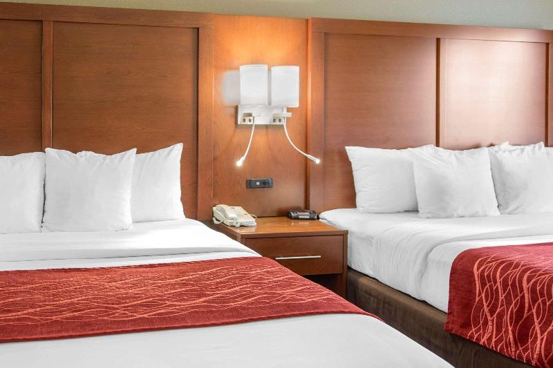 Номер Стандарт, Comfort Inn & Suites San Francisco Airport North