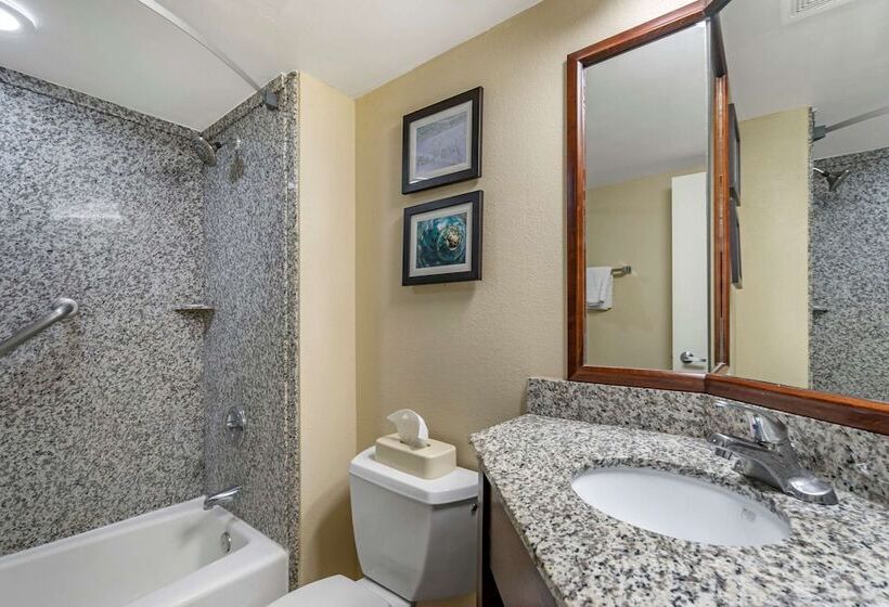 غرفه قياسيه سريرين مزدوجين, Comfort Inn & Suites St. Pete  Clearwater International Airport