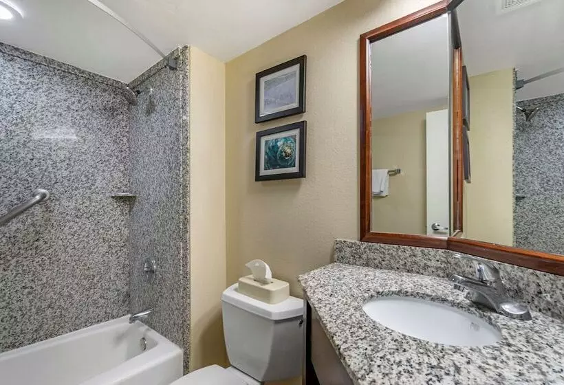 Standard-huone 2 Parivuodetta, Comfort Inn & Suites St. Pete  Clearwater International Airport