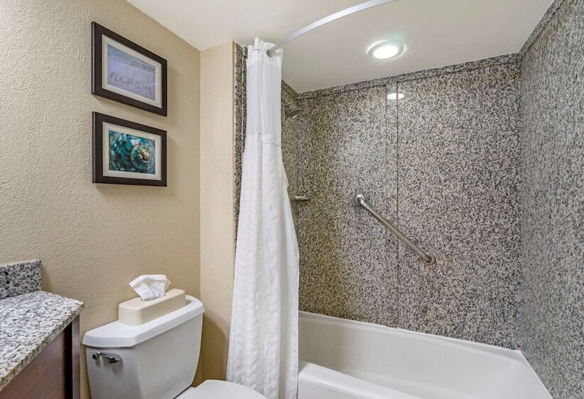 Quarto Estandar 2 Camas Casal, Comfort Inn & Suites St. Pete  Clearwater International Airport