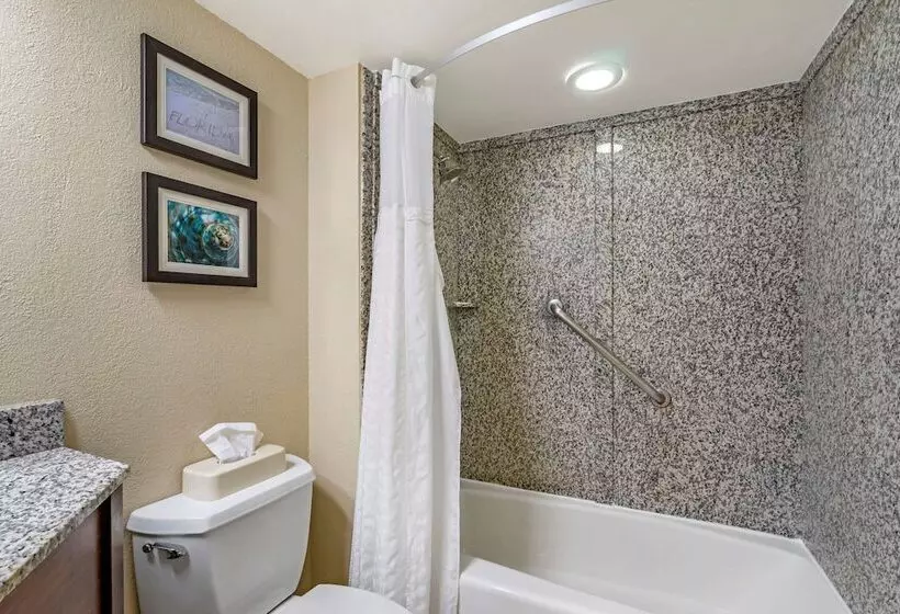 Standard-huone 2 Parivuodetta, Comfort Inn & Suites St. Pete  Clearwater International Airport
