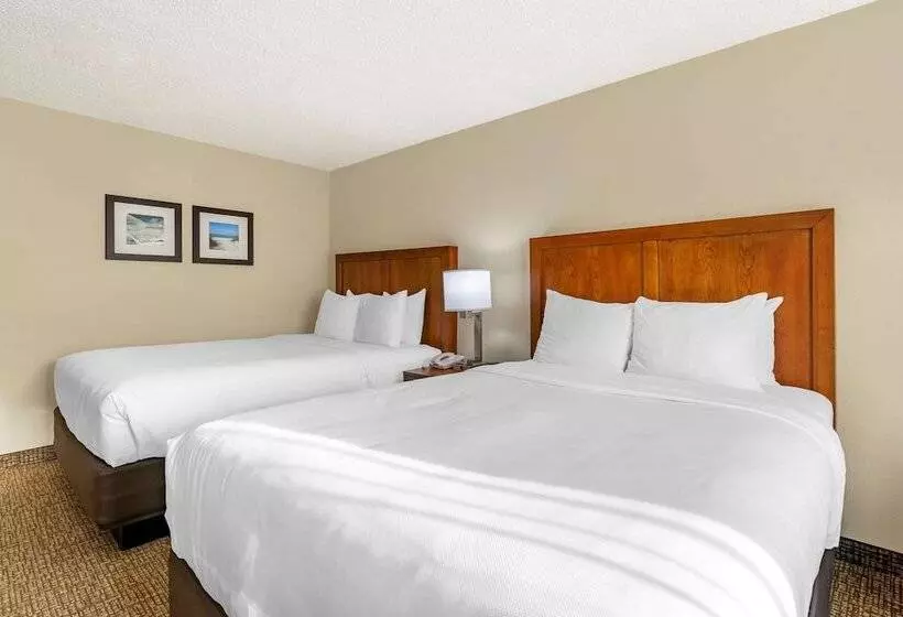 Standard-huone 2 Parivuodetta, Comfort Inn & Suites St. Pete  Clearwater International Airport