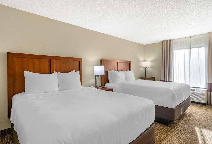غرفه قياسيه سريرين مزدوجين, Comfort Inn & Suites St. Pete  Clearwater International Airport