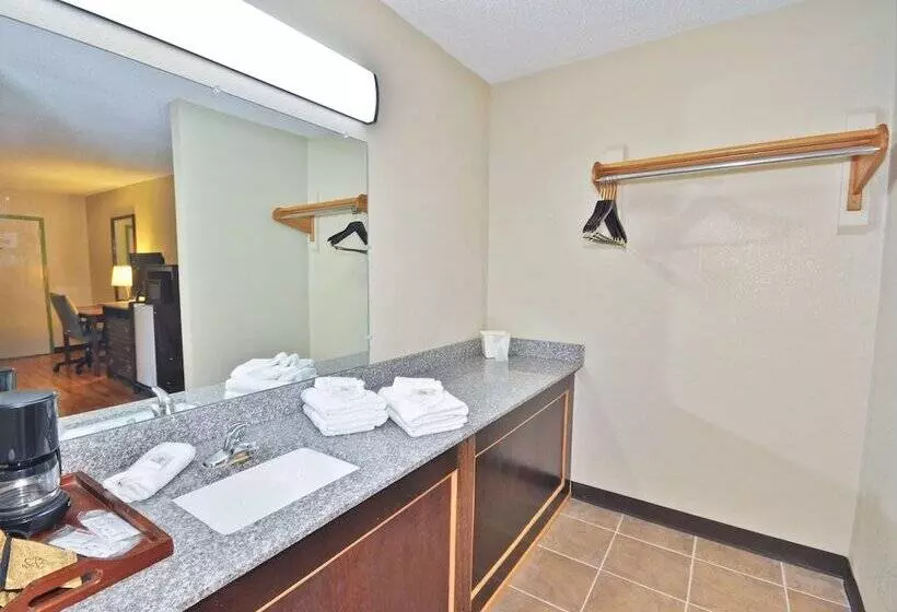 デラックスルーム, Country Hearth Inn & Suites Marietta
