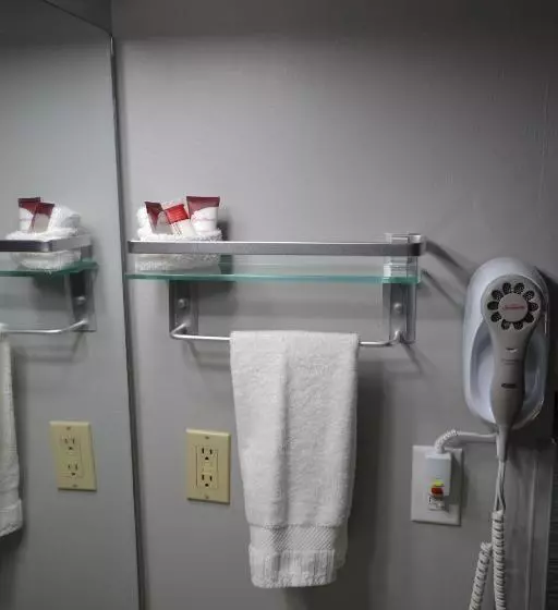 2ダブルベッドのスタンダードルーム, Countryside Inn & Suites Omaha East Council Bluffs Ia