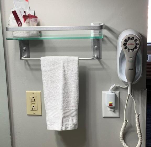 Номер Стандарт Адаптированный для Инвалидов, Countryside Inn & Suites Omaha East Council Bluffs Ia