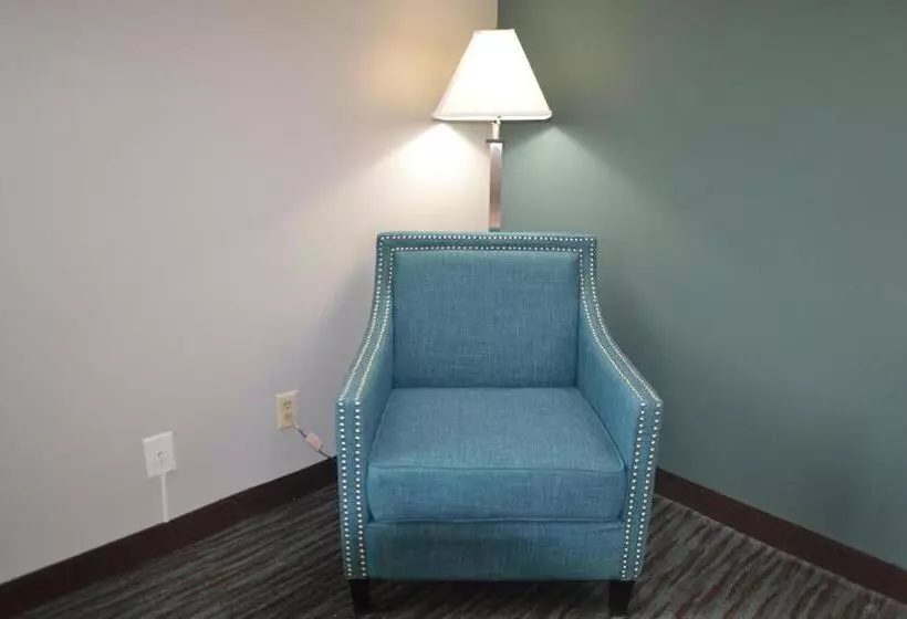 キングサイズベッドのスタンダードルーム, Countryside Inn & Suites Omaha East Council Bluffs Ia